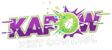 Kapow Pest Control